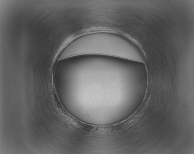 X0000054461365200507291010