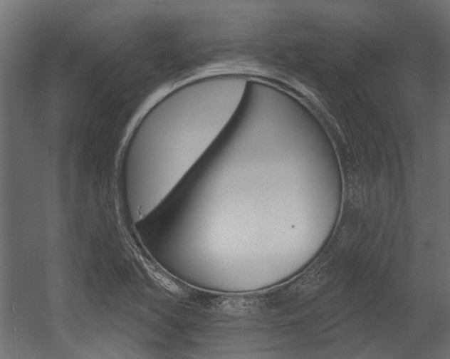 X0000054461366200507291010
