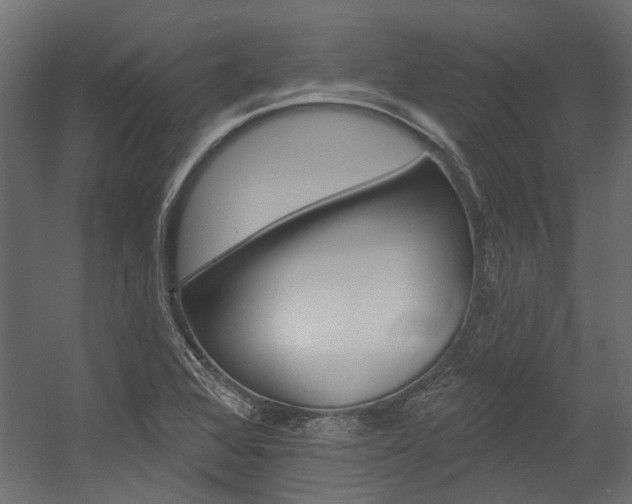 X0000054461368200507291010