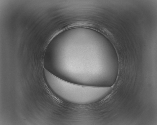 X0000054461369200507291010
