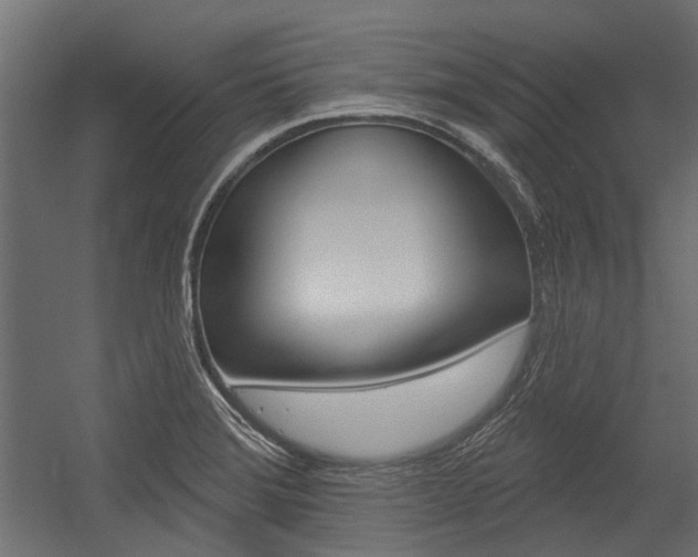 X0000054461372200507291010