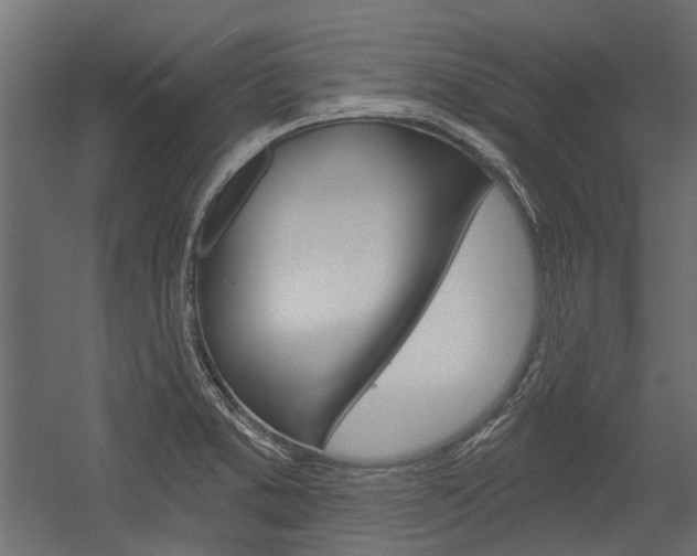 X0000054461373200507291010