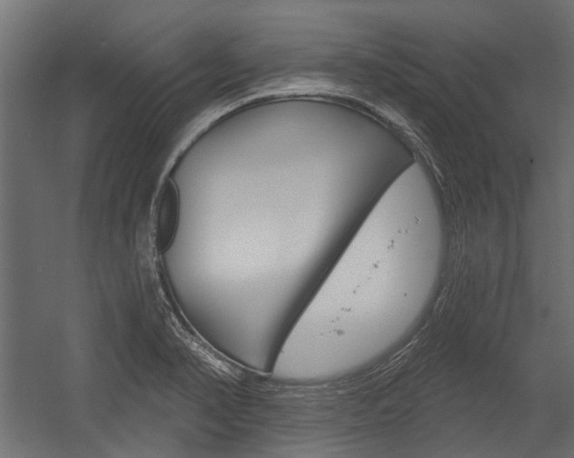 X0000054461374200507291010