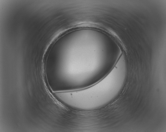 X0000054461376200507291010