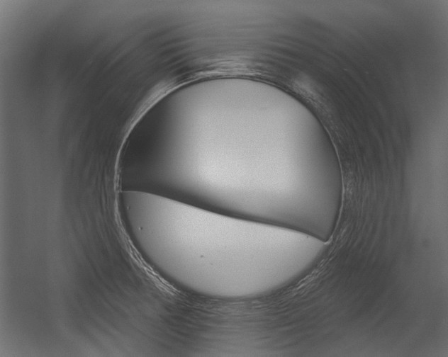 X0000054461378200507291010