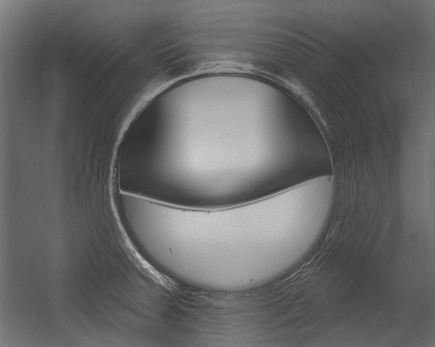 X0000054461379200507291010
