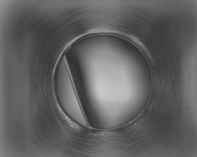 X0000054461380200507291010