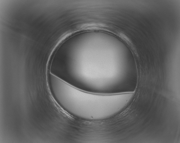 X0000054461384200507291010