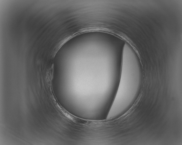 X0000054461385200507291010