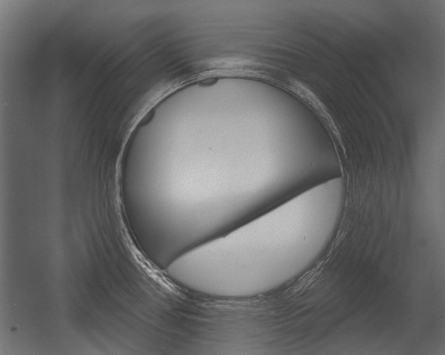 X0000054461386200507291010