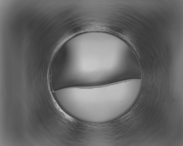 X0000054461387200507291010