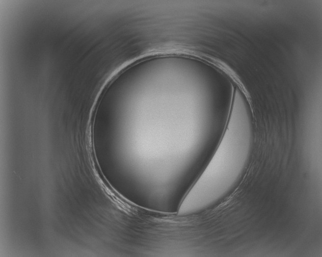 X0000054461388200507291010