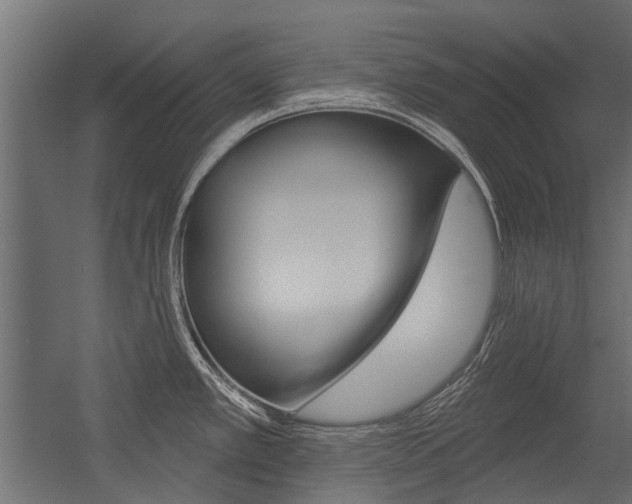 X0000054461389200507291010