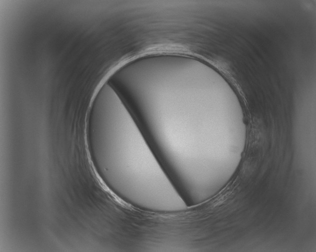 X0000054461390200507291010