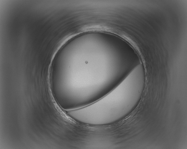 X0000054461392200507291010