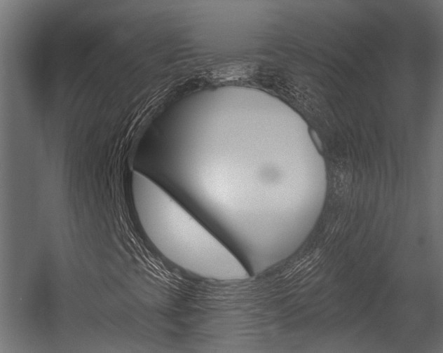 X0000054461393200507291009