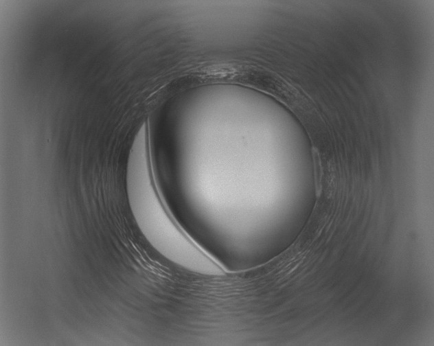 X0000054461394200507291009