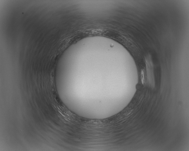 X0000054461395200507291009