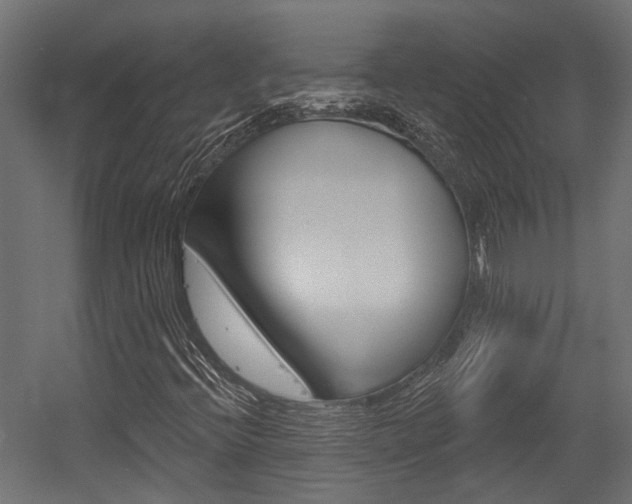 X0000054461396200507291009