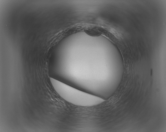 X0000054461397200507291009