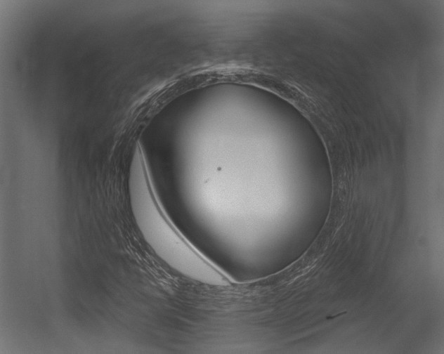 X0000054461398200507291009