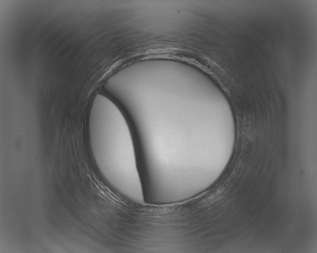 X0000054461401200507291009