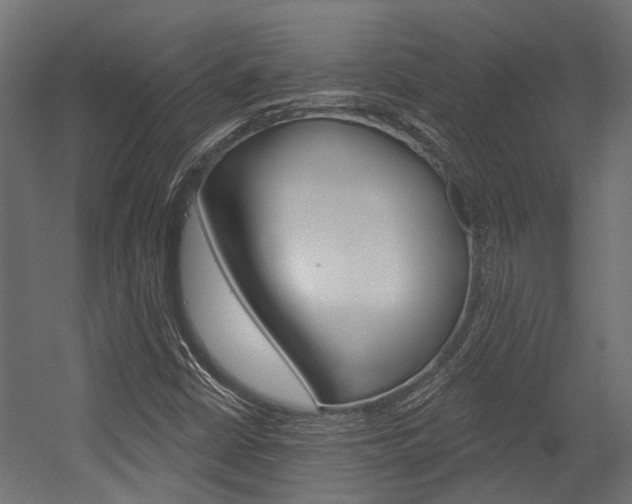 X0000054461402200507291009