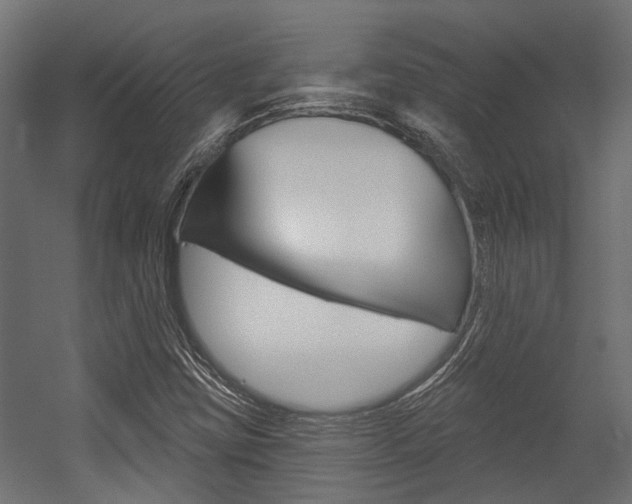 X0000054461403200507291009