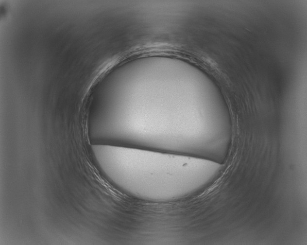 X0000054461405200507291009