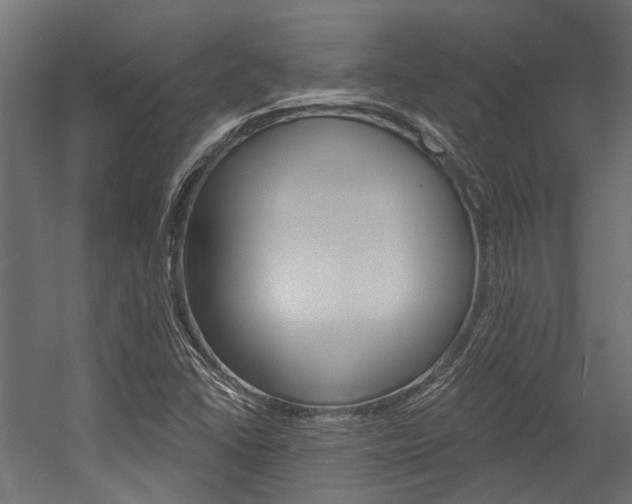 X0000054461406200507291009