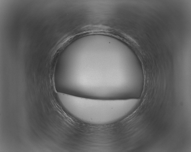 X0000054461407200507291009