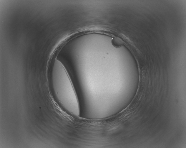 X0000054461408200507291009
