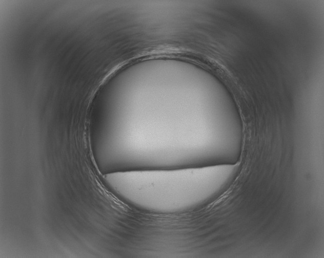 X0000054461409200507291009