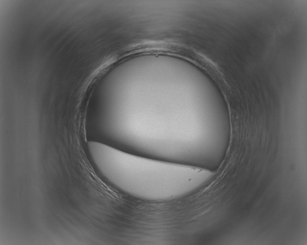 X0000054461411200507291009
