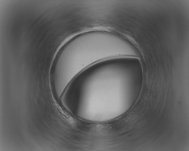 X0000054461412200507291009