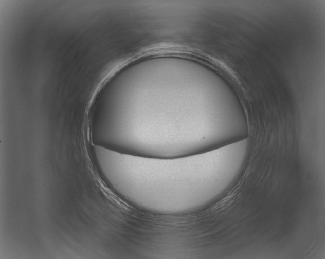 X0000054461413200507291009