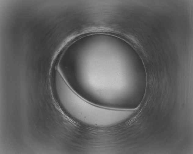 X0000054461414200507291009