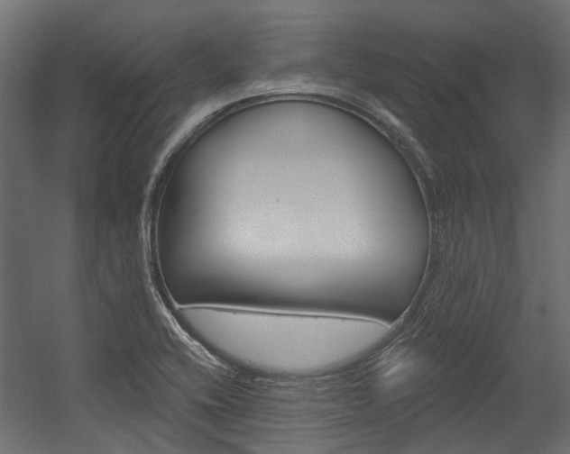 X0000054461416200507291009