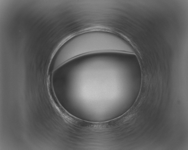 X0000054461418200507291009