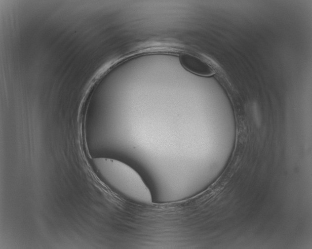 X0000054461419200507291009