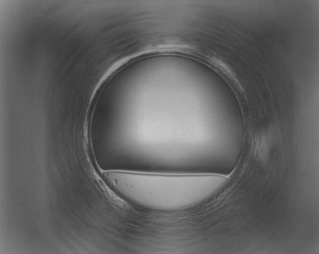 X0000054461420200507291009