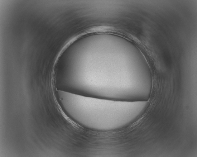 X0000054461421200507291009