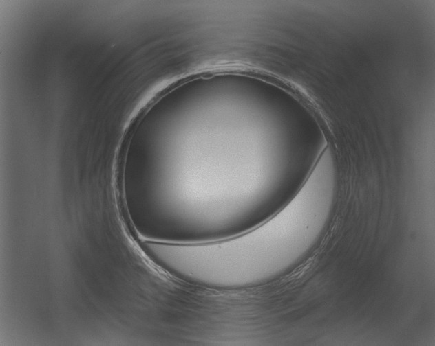 X0000054461422200507291009