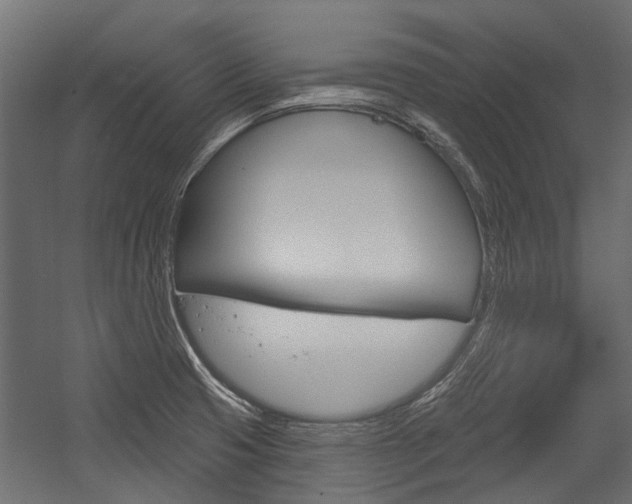 X0000054461425200507291009