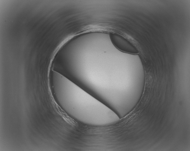 X0000054461427200507291009