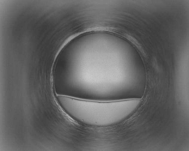 X0000054461428200507291009