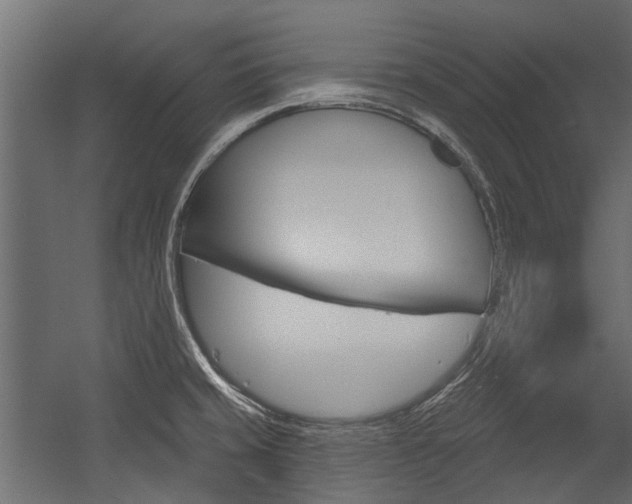 X0000054461429200507291009