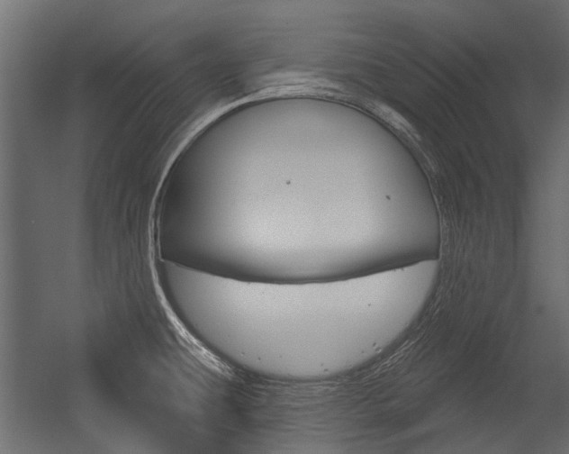 X0000054461431200507291010