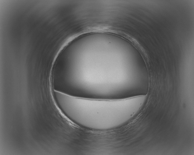 X0000054461432200507291010