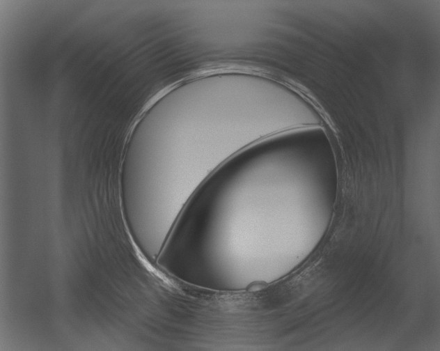 X0000054461433200507291010
